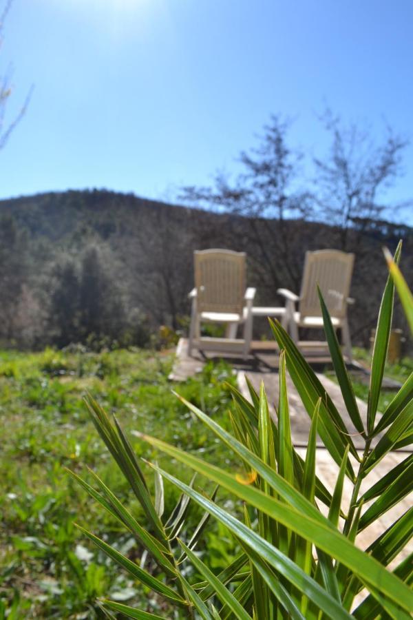 Cocoon Gites 2-4 Ou 6 Pers Avec Jacuzzi Entre Anduze Et Ales Carnoules  Exteriér fotografie